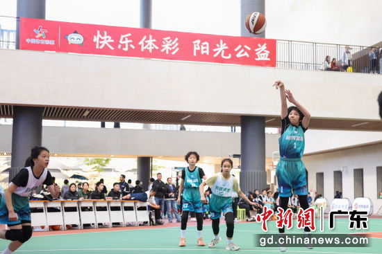 比赛现场。通讯员 供图 比赛现场。通讯员 供图