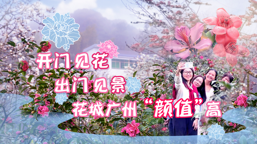绿美广东在行动丨开门见花出门见景 花城广州“颜值”高