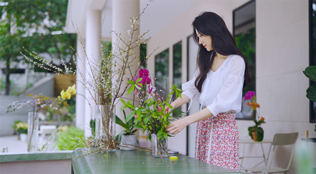 直播大湾区丨春来桃花开 给餐桌提升幸福感